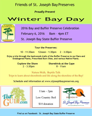 Gallery 1 - Winter Bay Day Celebration