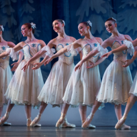 Gallery 3 - The Tallahassee Ballet