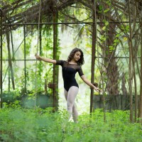 Gallery 6 - The Tallahassee Ballet