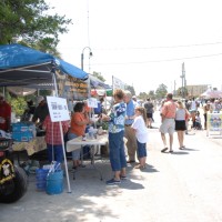 Gallery 8 - 26th Annual Carrabelle Riverfront Festival