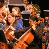 Gallery 8 - Big Bend Community Orchestra Concert: Printemps, A Celebration of Spring