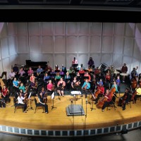 Gallery 10 - Big Bend Community Orchestra Concert: Printemps, A Celebration of Spring