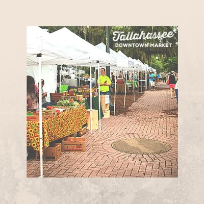 Artists/Vendors Wanted for Tallahassee Downtown Market