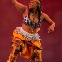 Gallery 4 - 19th Annual Florida African Dance Festival