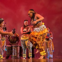 Gallery 5 - 19th Annual Florida African Dance Festival