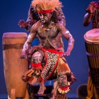 Gallery 8 - 19th Annual Florida African Dance Festival