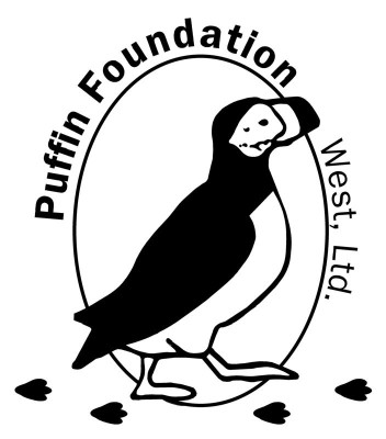 Puffin Foundation Issues RFP for Social Justice Arts Projects
