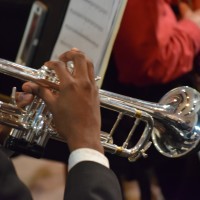 Gallery 10 - Big Bend Community Orchestra: Music in Motion concert