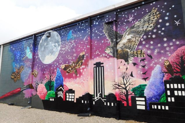 Nocturnal Tallahassee Mural