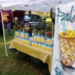 Gallery 7 - TFPFEST 2017 The Fuzzy Pineapple Art and Craft Festival 2017