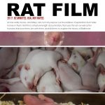 Gallery 1 - Rat Film