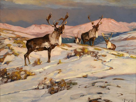 Gallery 3 - Wild in the Country: A Loan Exhibition from the Genesee Museum at Pebble Hill Plantation