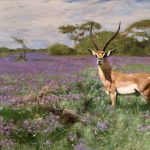 Gallery 4 - Wild in the Country: A Loan Exhibition from the Genesee Museum at Pebble Hill Plantation