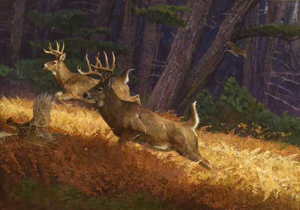 Gallery 5 - Wild in the Country: A Loan Exhibition from the Genesee Museum at Pebble Hill Plantation