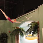 Gallery 1 - Janie Gould - A special evening program at the Museum of Florida History