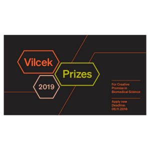 Vilcek Prize for Creative Promise in Culinary Arts