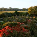 Gallery 3 - Five Seasons: The Gardens of Piet Oudolf