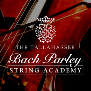 Violin, Viola, and Cello Lessons