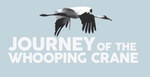 Journey of the Whooping Crane Screening