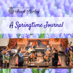 Tallahassee Bach Parley: A Springtime Journal