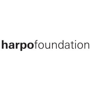 The Harpo Foundation Grants for Visual Artists