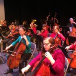 Gallery 4 - Big Bend Community Orchestra 25th Anniversary Concert