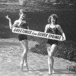 CURRENTLY CLOSED: Underwater Innovations: The Florida Springs Photography of Bruce Mozert