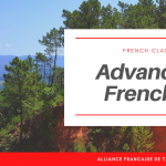 Online French class : Advanced 2