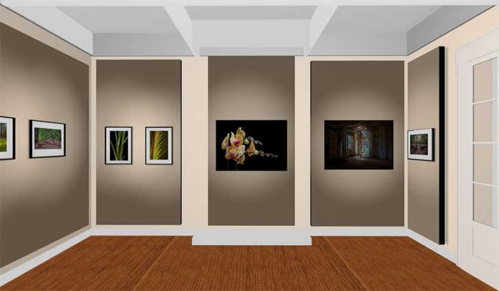 Gallery 4 - Double Exposure - A Virtual Exhibition of Photographs by Donato (Danny) Pietrodangelo and Riko Carrion