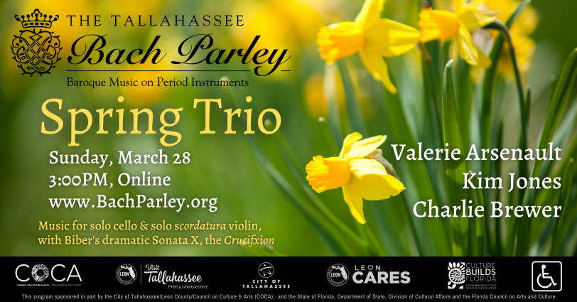 Gallery 3 - Spring Trio Concert