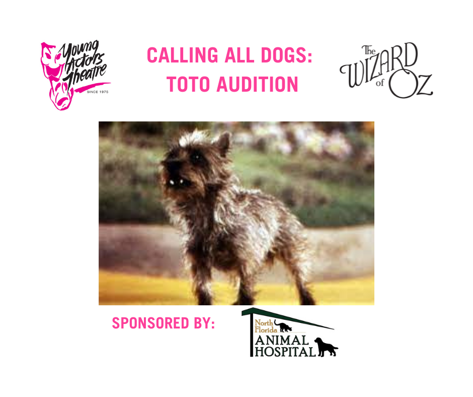 Toto Auditions for YAT's The Wizard of Oz, Young Actors Theatre at Young  Actors Theatre, Tallahassee FL, Theatre & Literature