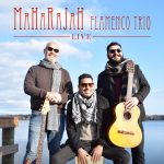 Gallery 1 - Maharajah Flamenco Trio Live In Concert