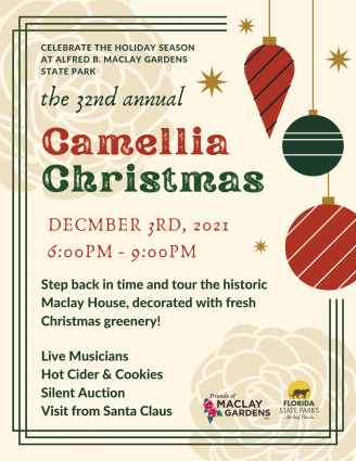 Gallery 3 - Camellia Christmas