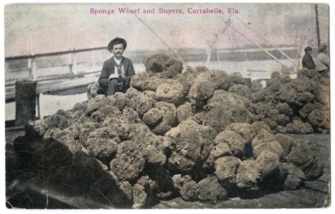 Gallery 3 - Special Exhibit: Sponge Diving in Carrabelle & North FL Extended!