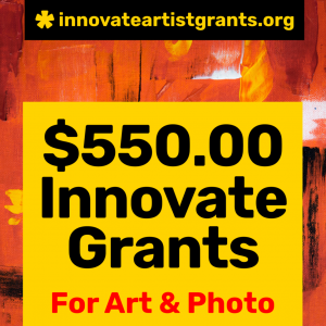 $550.00 Innovate Grants for Artists + Photographers