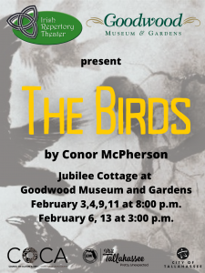 The Birds by Conor McPherson