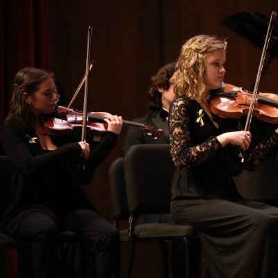 Chamber Orchestra Concert