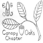 Dropcloth Sampler Workshop at the Embroiderers' Guild of America: Canopy Oaks Chapter
