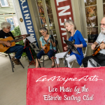 Live Music by Elsinore Sewing Club