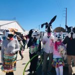 Gallery 4 - Apalachicola Mardi Gras Barkus Parade
