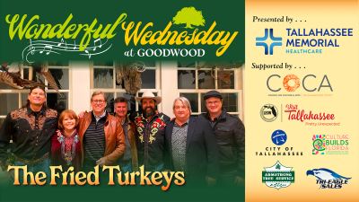 Wonderful Wednesday featuring The Fried Turkeys