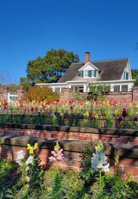 Pebble Hill's Guided Grounds & Gardens Tour with Picnic