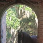 Guided Grounds and Historic Outbuildings Tours at Pebble Hill Plantation