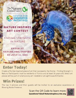 The Nature Conservancy Art Contest