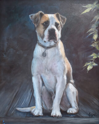 "For the Love of Animals" Call for Artists at Jefferson Arts Gallery