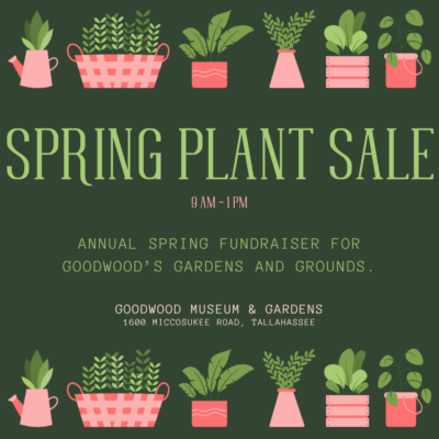 Goodwood Spring Plant Sale