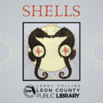 Shells by Rachel Speck