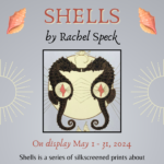 Gallery 1 - Shells by Rachel Speck