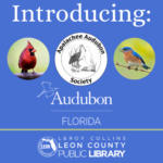 Introducing Audubon Florida and Apalachee Audubon
