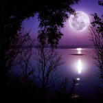 Moonrise on the Wakulla